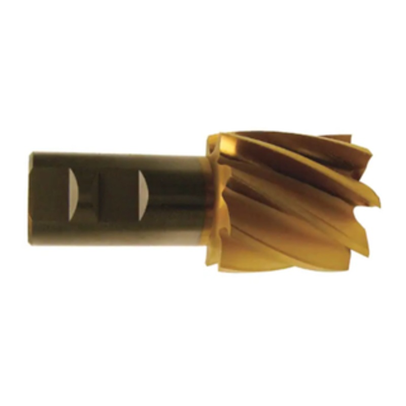Weldon Tool 8 Flute TiN Coated H.S.S. Single End Mill, 2 Size, 1-1/4 Shank Diameter, 2 Length of Cut, 4-1/2 Overall Length