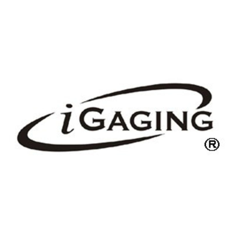 iGaging 12 4R Blade – 34-212-B