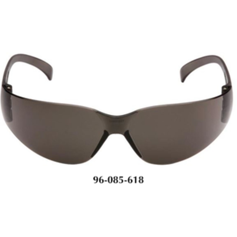 Pyramex Intruder Gray Lens Safety Glasses S4120S