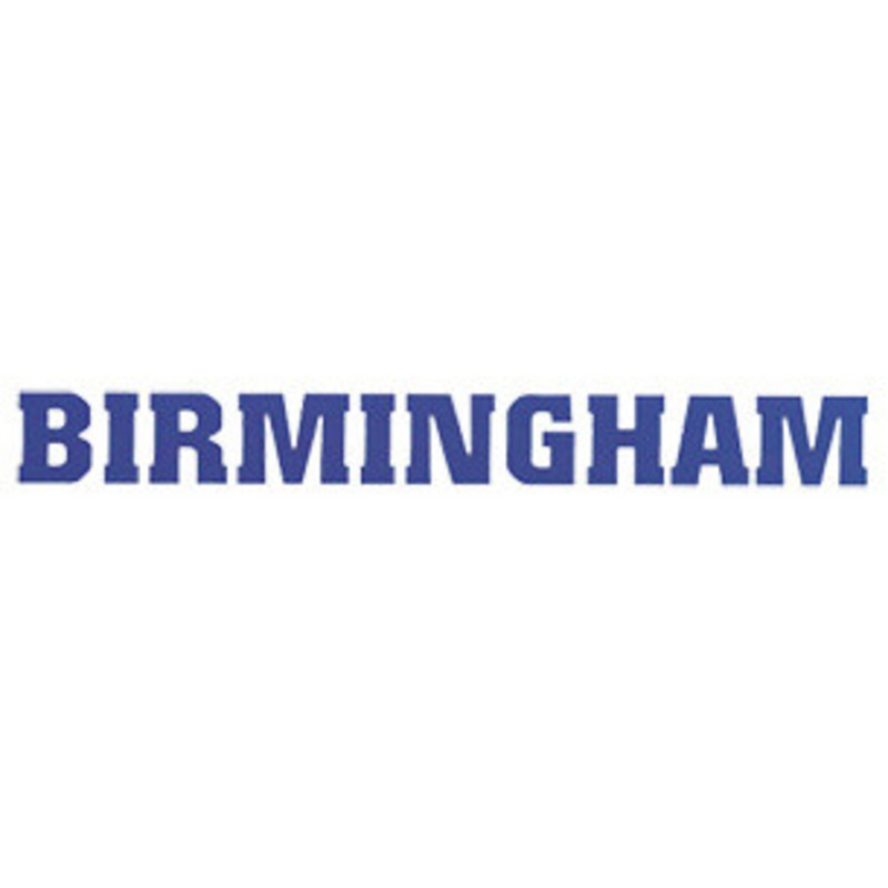 Birmingham 10 Steady Rest – YCL-SR